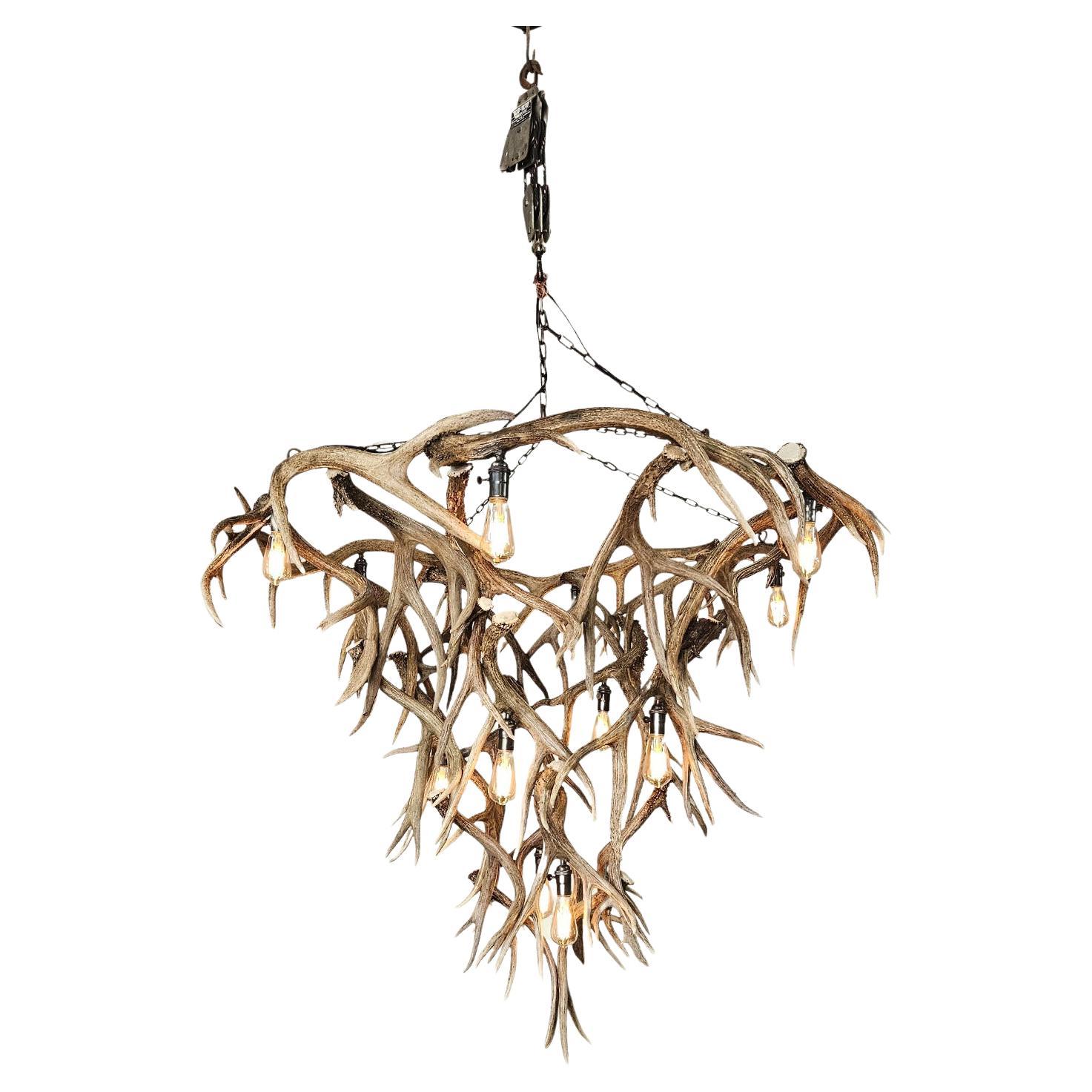 Challenger Point Peak Mule Deer Antler Chandelier by The Peak Antler