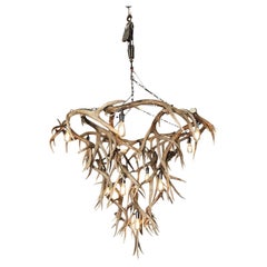Challenger Point Peak Mule Deer Antler Chandelier by The Peak Antler