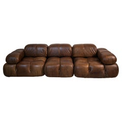 Chamaleonda Sofa  by Mario Bellini for B&b Italia