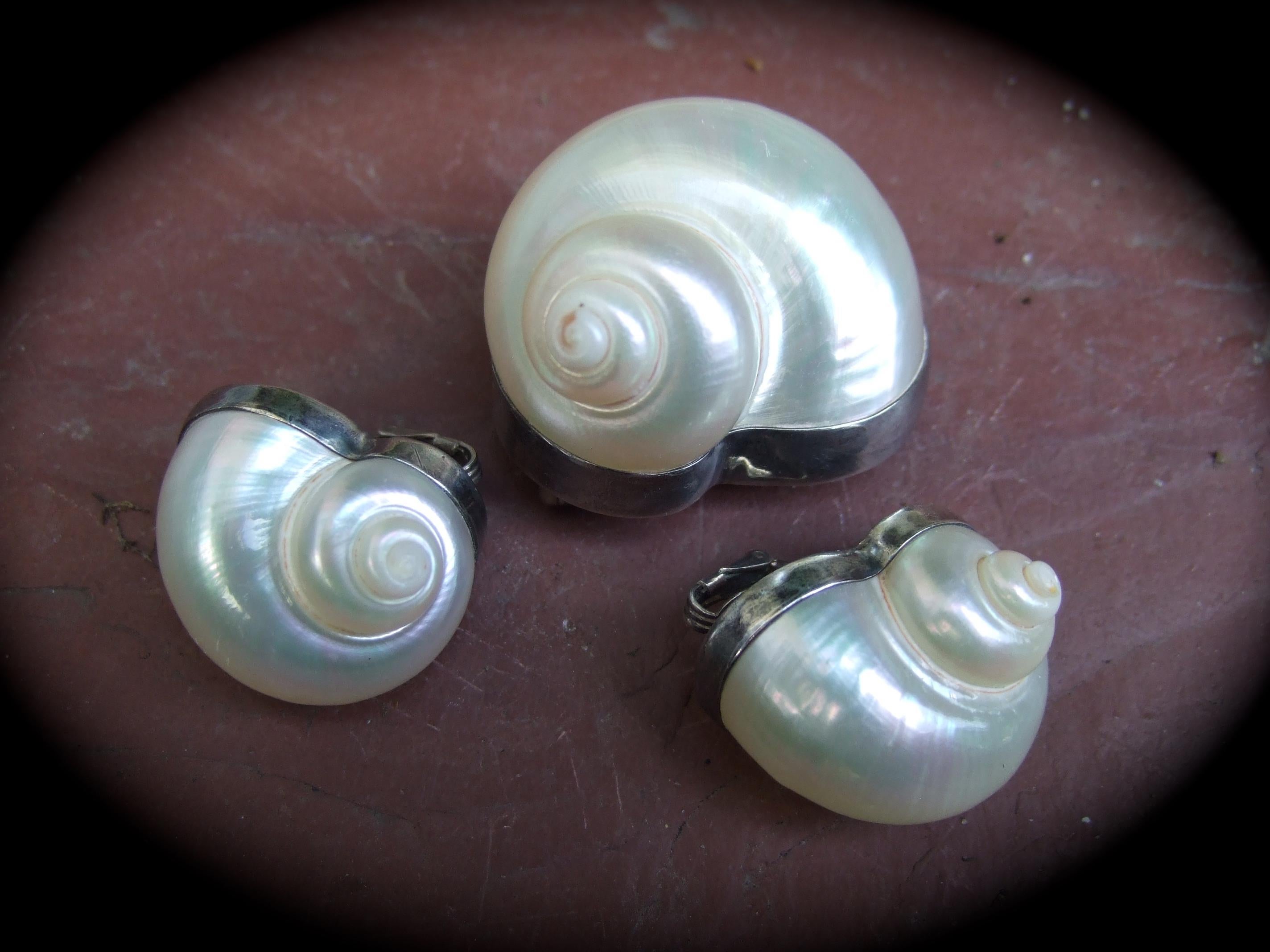 Chamber Nautilis Sea Shell  Brooch & Clip on Earrings in Sterling Bezels c 1986 For Sale 7
