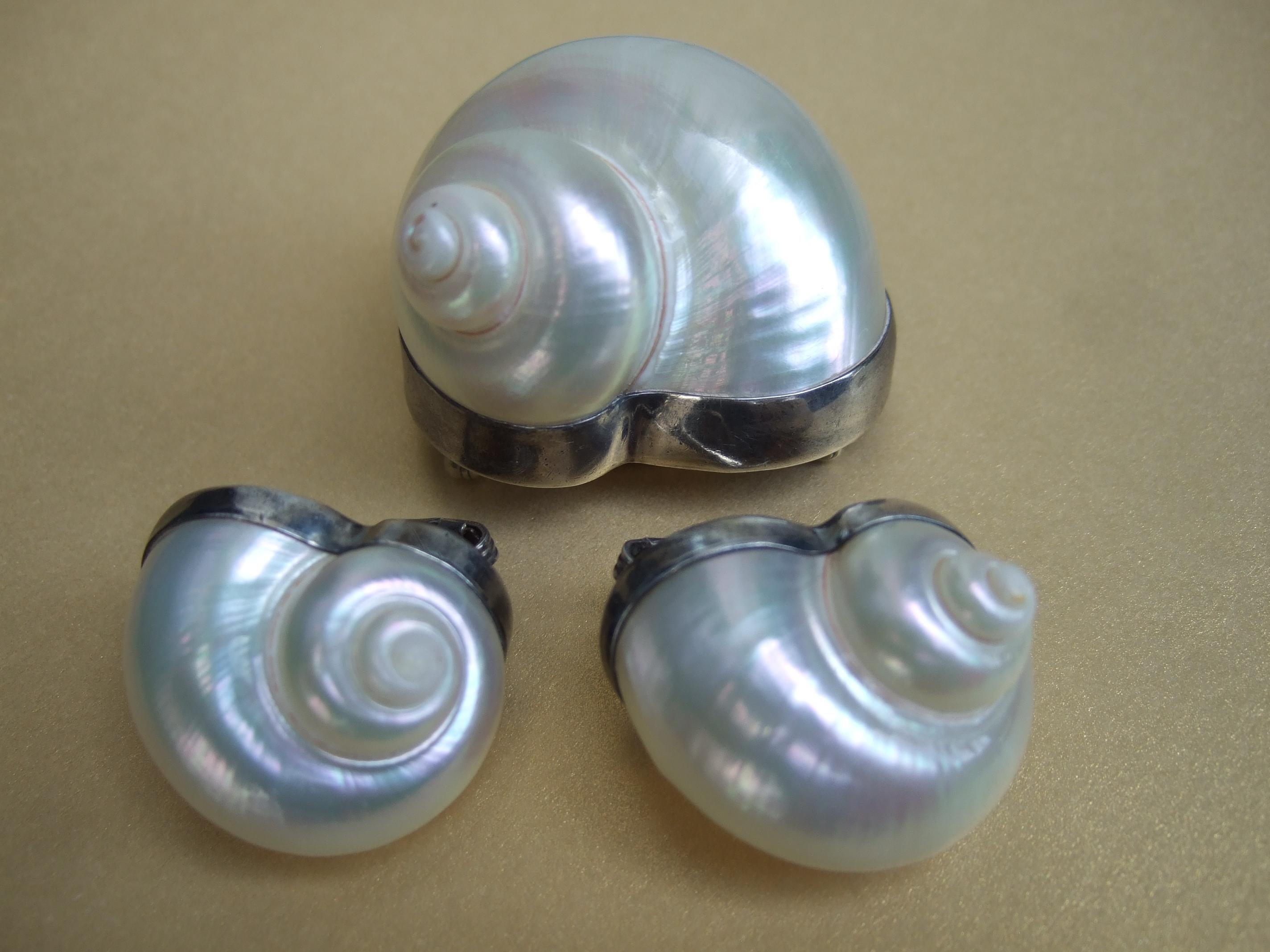 Artisan Chamber Nautilis Sea Shell  Brooch & Clip on Earrings in Sterling Bezels c 1986 For Sale