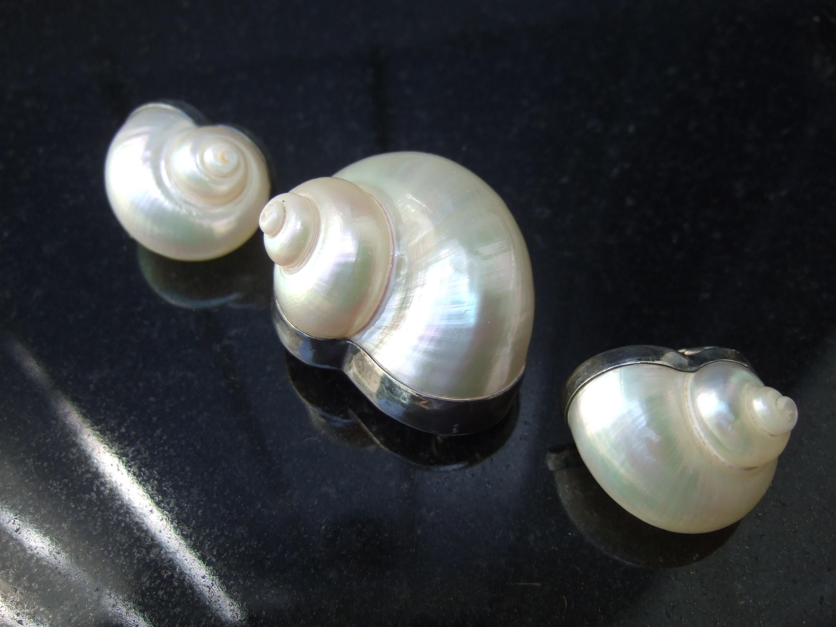 Chamber Nautilis Sea Shell  Brooch & Clip on Earrings in Sterling Bezels c 1986 In Good Condition For Sale In University City, MO