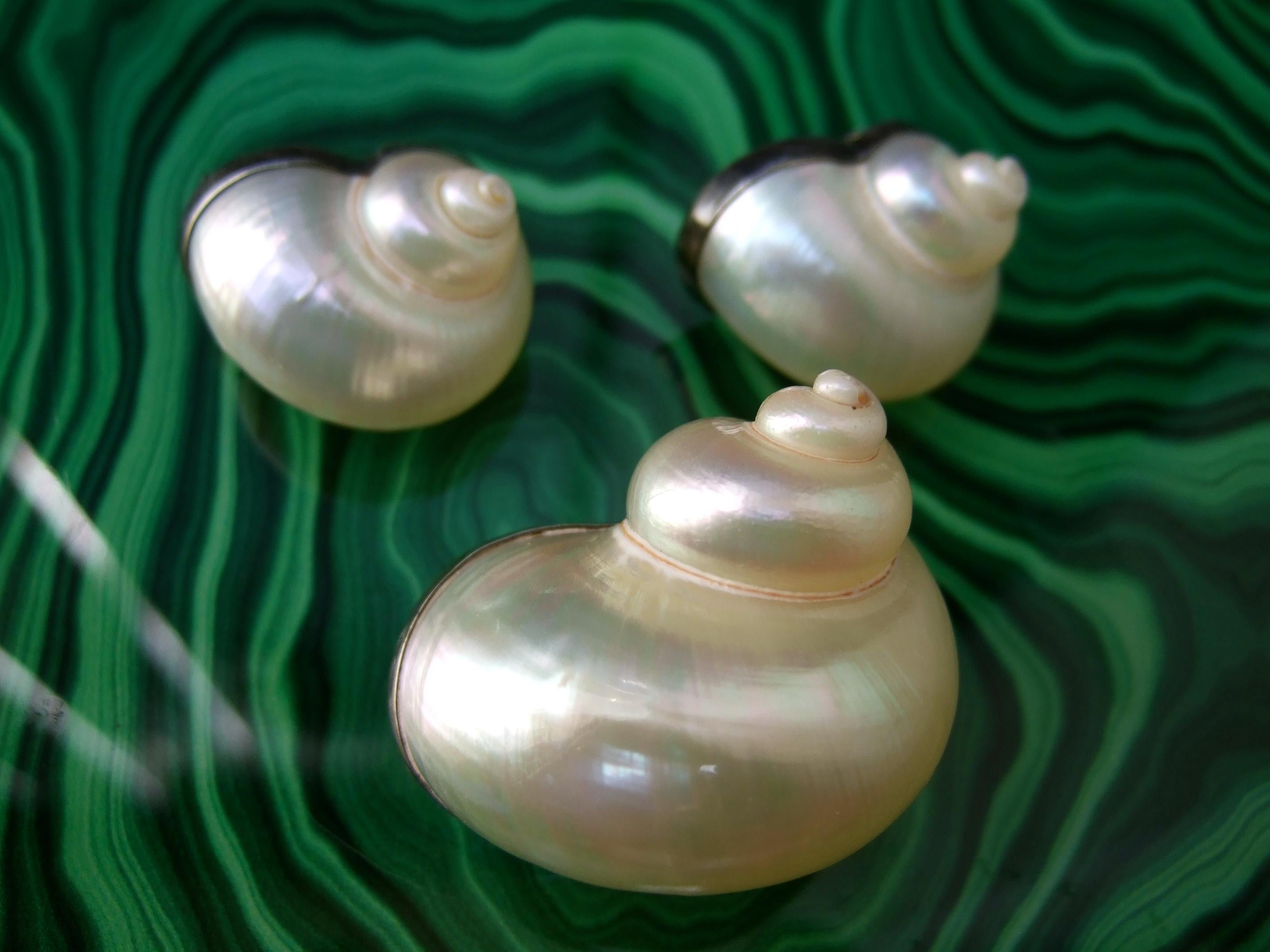 Chamber Nautilis Sea Shell  Brooch & Clip on Earrings in Sterling Bezels c 1986 For Sale 1