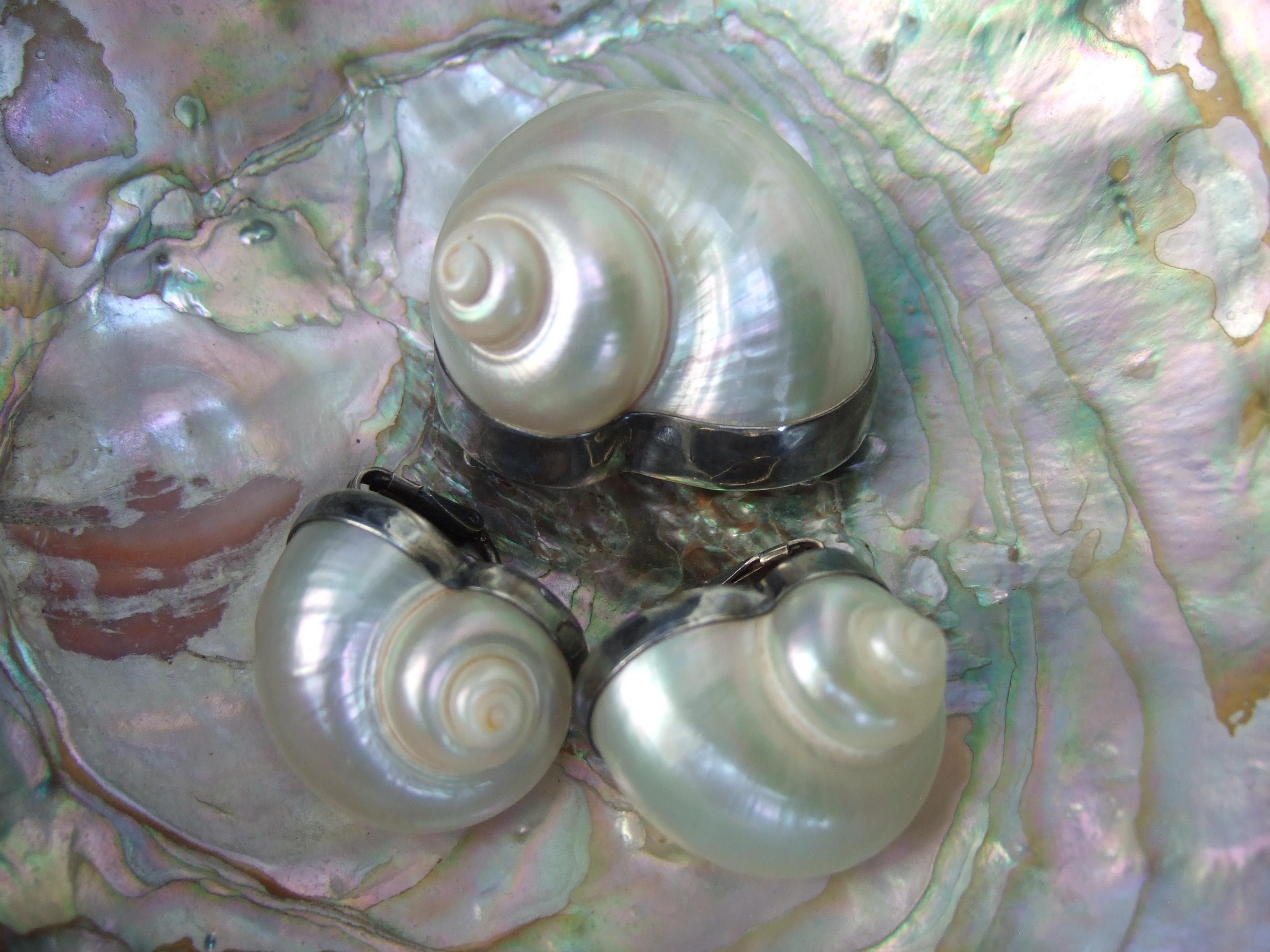 Chamber Nautilis Sea Shell  Brooch & Clip on Earrings in Sterling Bezels c 1986 For Sale 3