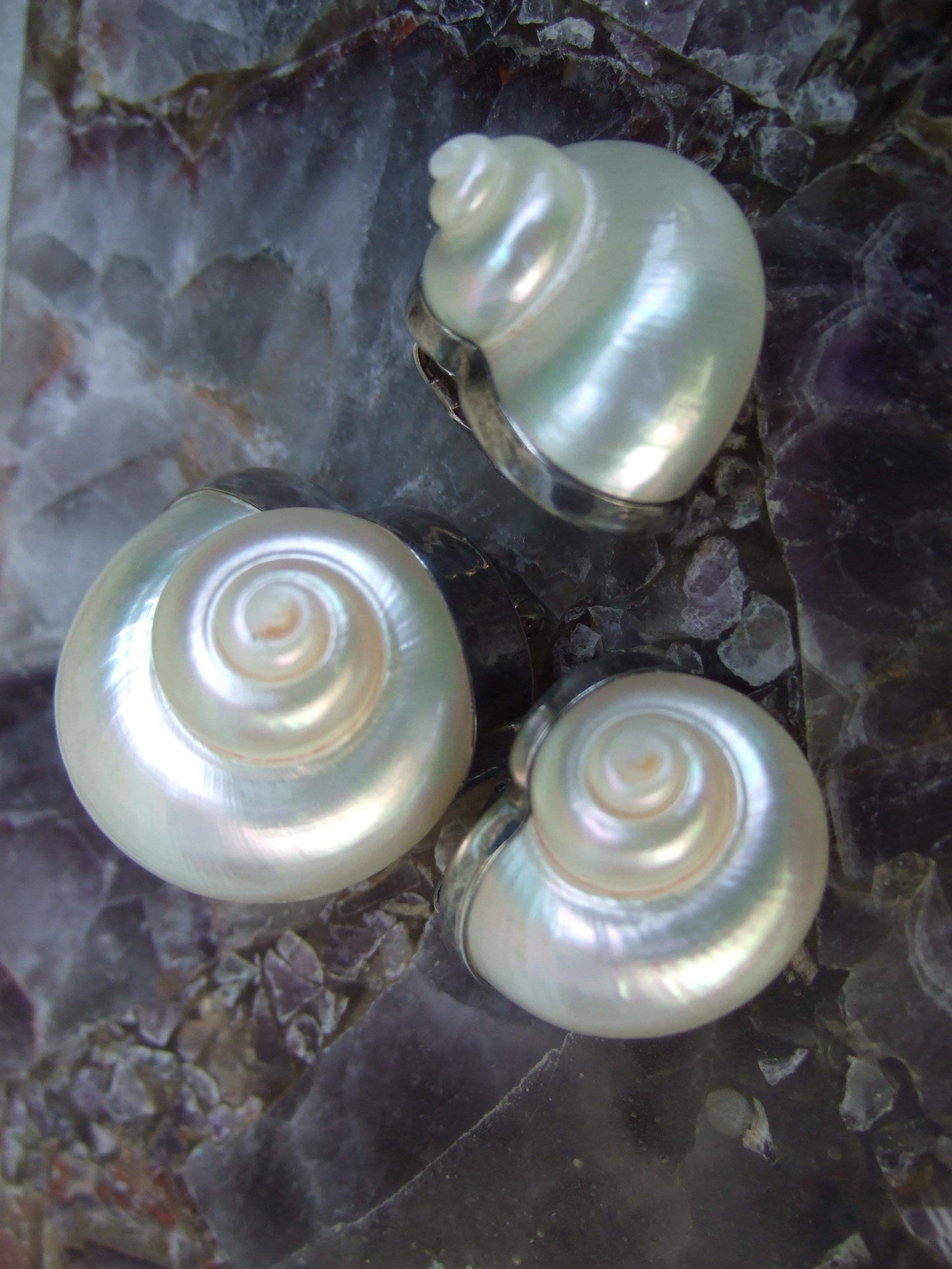 Chamber Nautilis Sea Shell  Brooch & Clip on Earrings in Sterling Bezels c 1986 For Sale 4