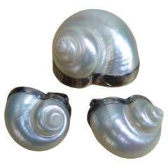 Vintage Chamber Nautilis Sea Shell  Brooch & Clip on Earrings in Sterling Bezels c 1986