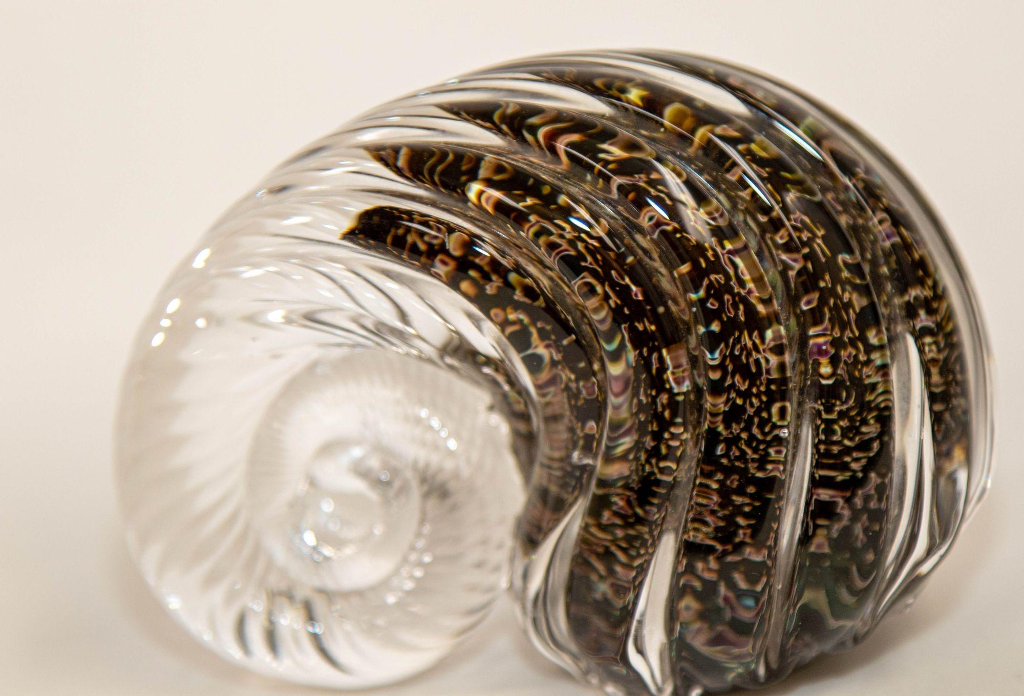 Italian Chambered Nautilus Shell Art Glass Paperweight For Sale