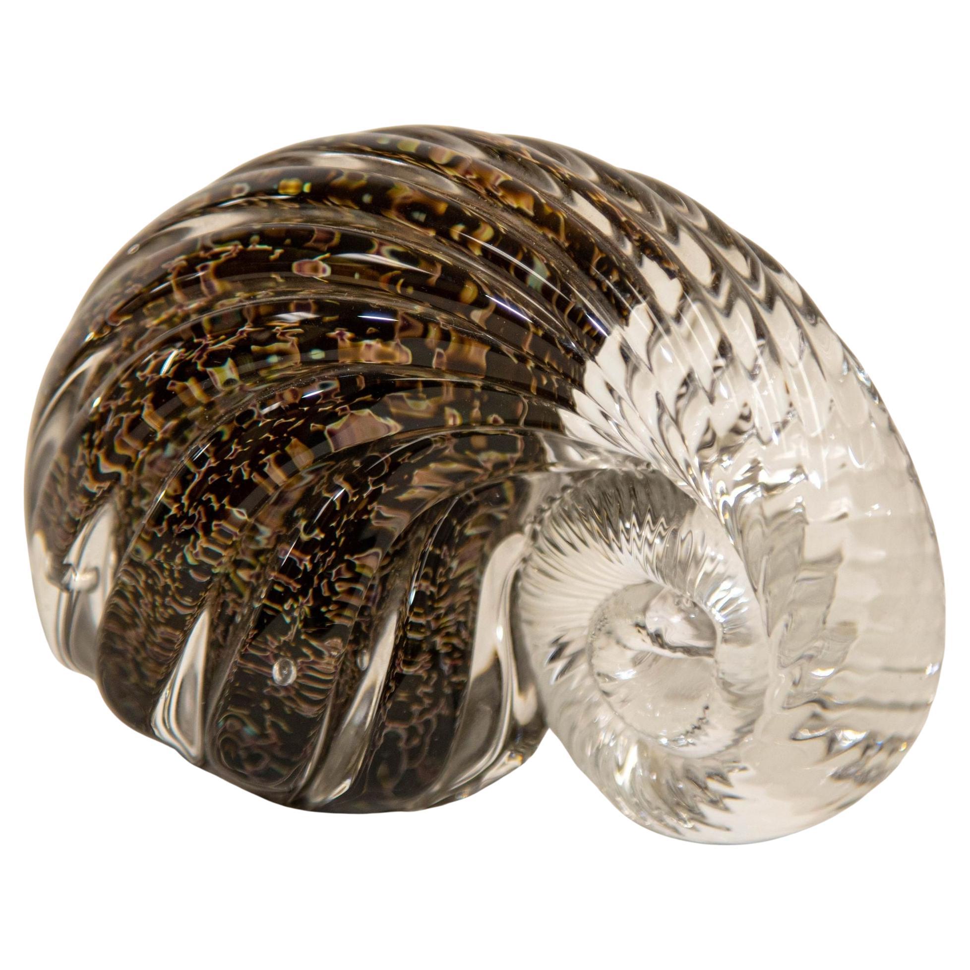 Chambered Nautilus Shell Art Glass Paperweight