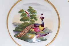 Chamberlain Worcester comport decorated with Fancy Birds