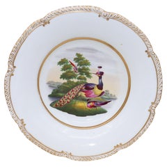 Comportamento Chamberlains Worcester decorato con uccelli fantasia