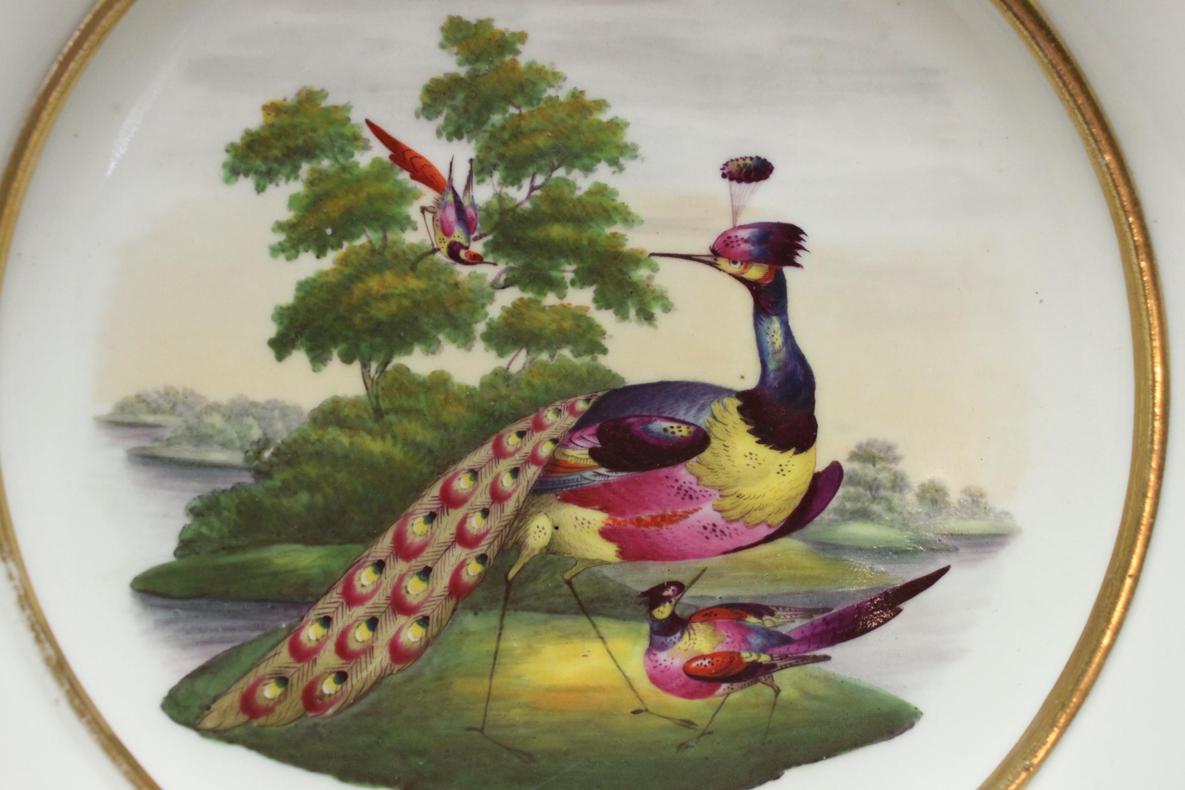 This large porcelain comport is by Chamberlain's of Worcester and is decorated with a hand painted scene of Fancy Birds in the manner of George Davis, the colours of which are still vibrant. The bowl is supported by four lions paw legs onto a