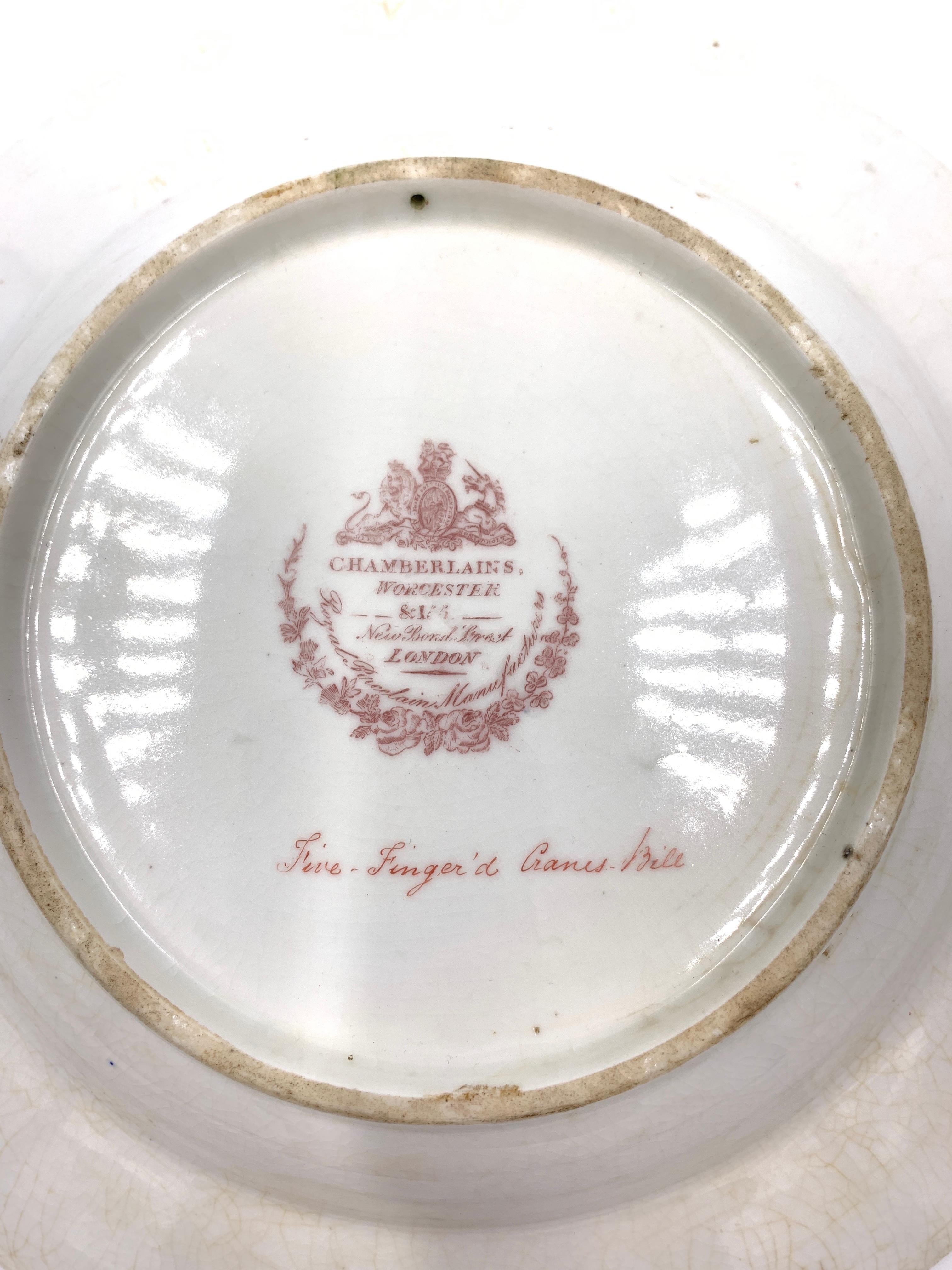 Chamberlains Armorial Plate Set from the Carnatic Service Nawab of the Carnatic For Sale 10