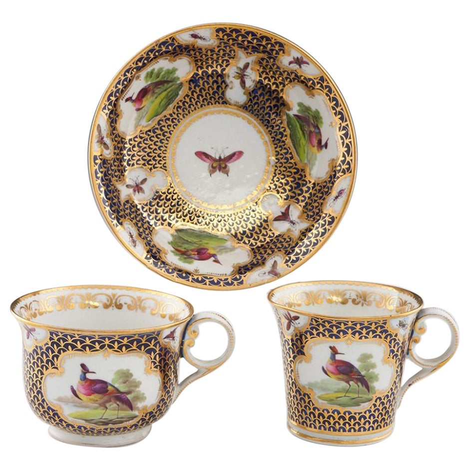 Trio d'oiseaux fantaisie de Chamberlain Worcester peints par George Davis, 1800-05 en vente