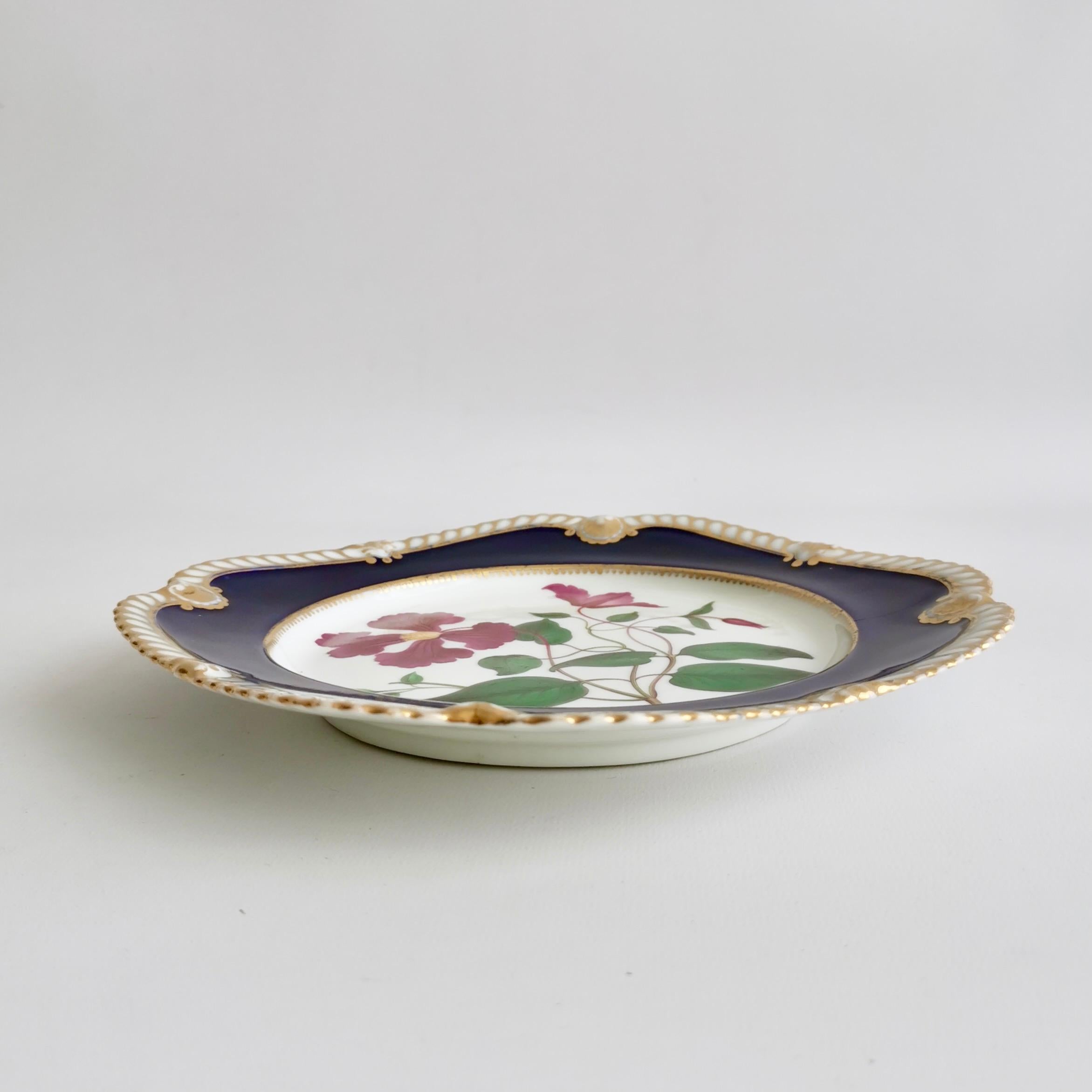 Chamberlains Worcester Plate, Named Purple Virgin's Bower, Regency ca 1820 5
