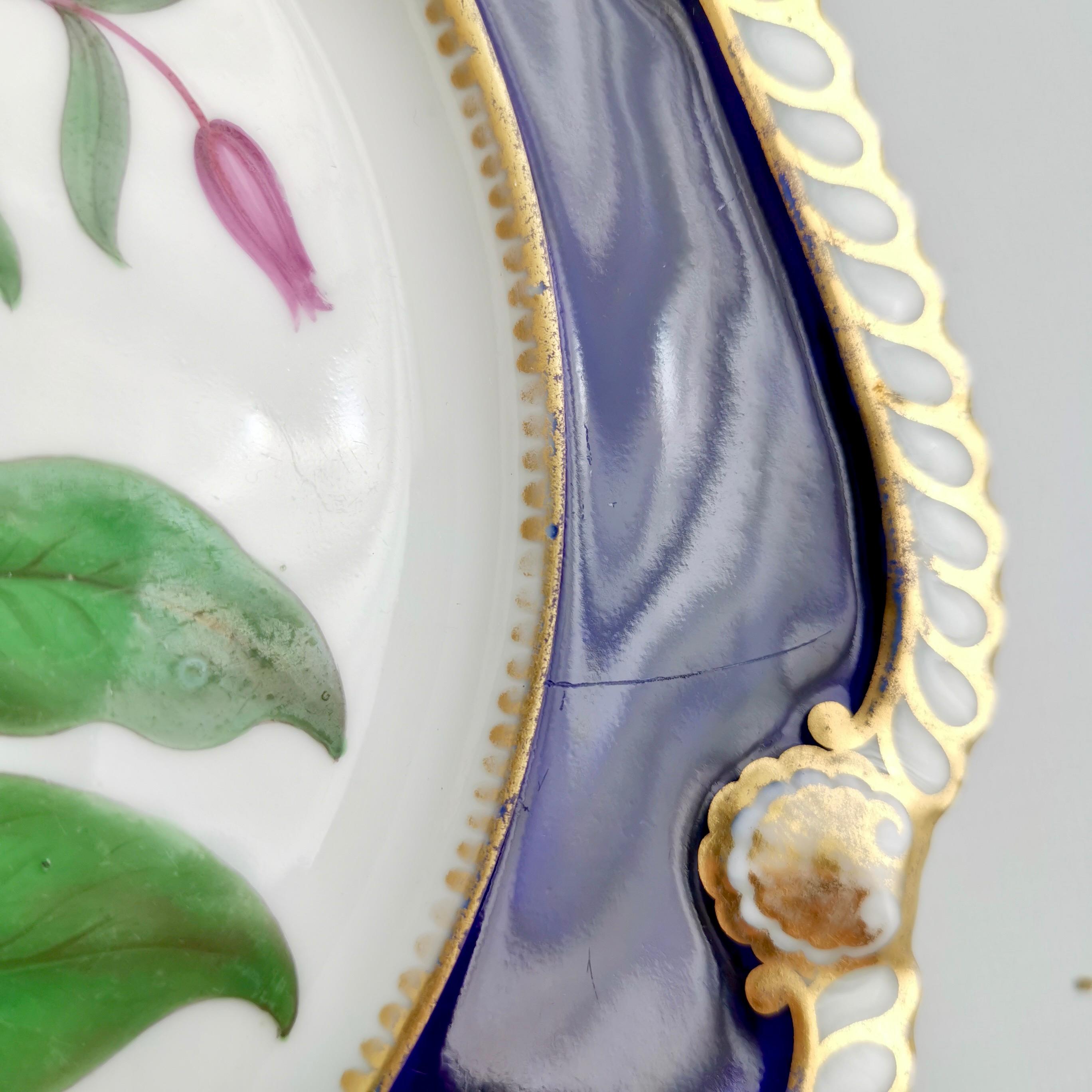 Chamberlains Worcester Plate, Named Purple Virgin's Bower, Regency ca 1820 8