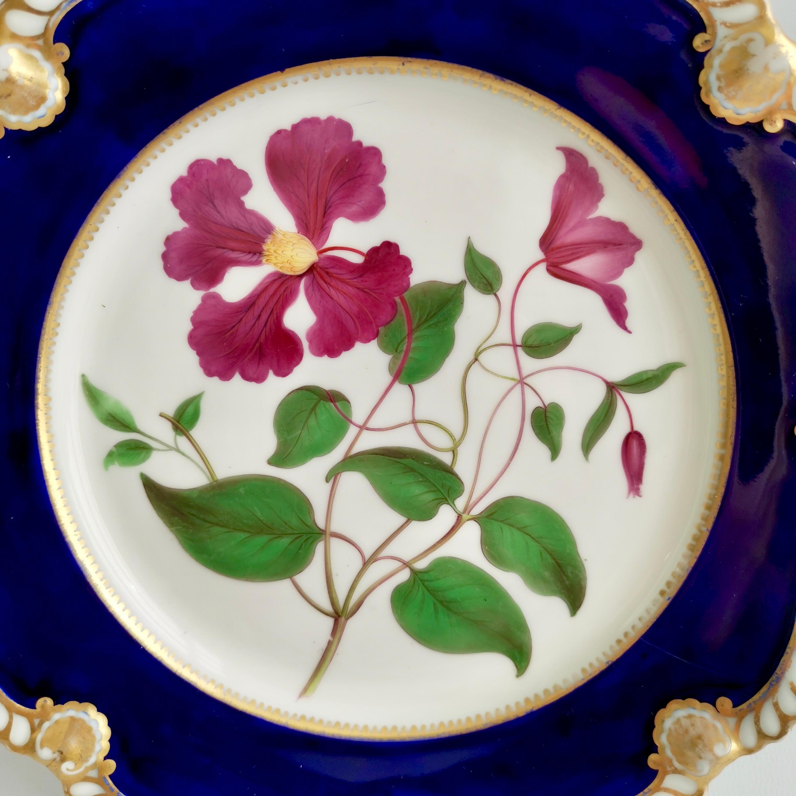 Hand-Painted Chamberlains Worcester Plate, Named Purple Virgin's Bower, Regency ca 1820