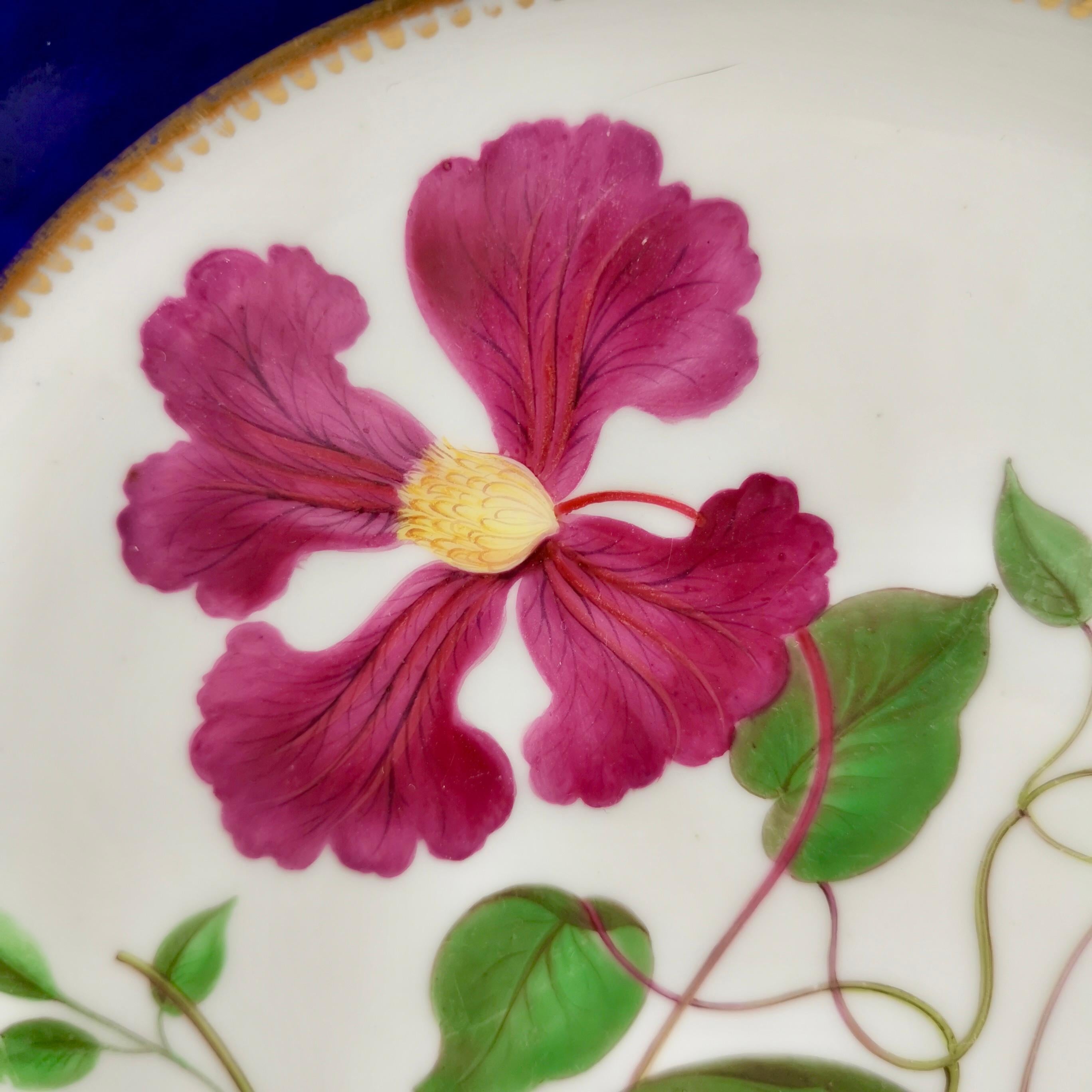 Early 19th Century Chamberlains Worcester Plate, Named Purple Virgin's Bower, Regency ca 1820
