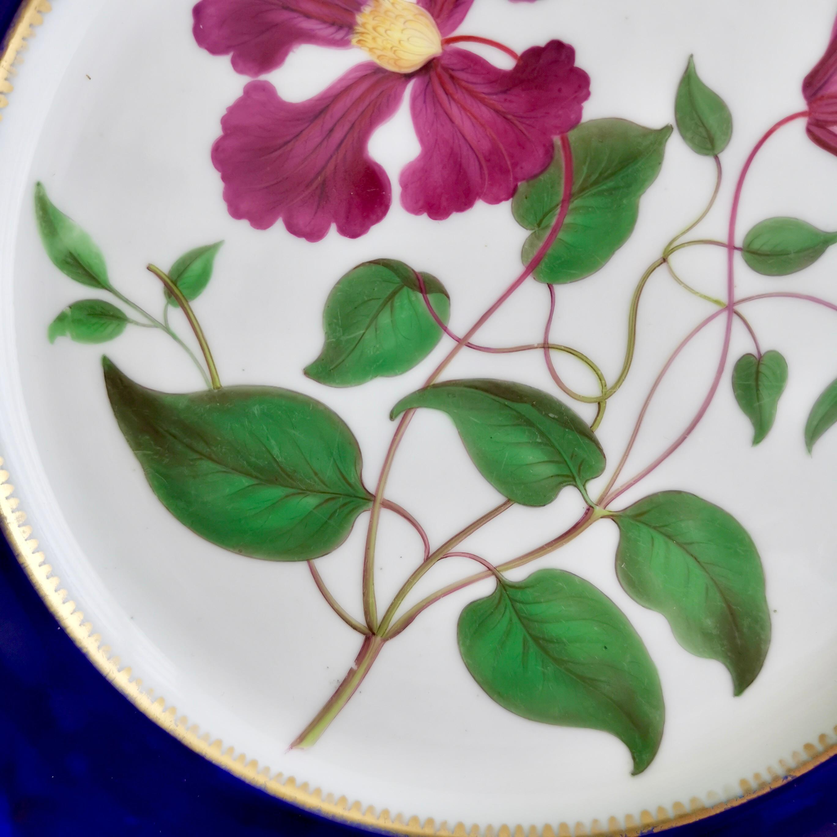 Chamberlains Worcester Plate, Named Purple Virgin's Bower, Regency ca 1820 3