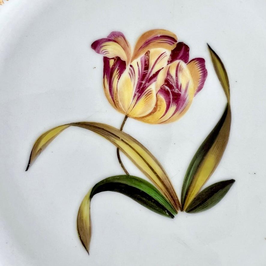Regency Chamberlains Worcester Plate, Yellow with Tulip and Flower Reserves, 1815-1820