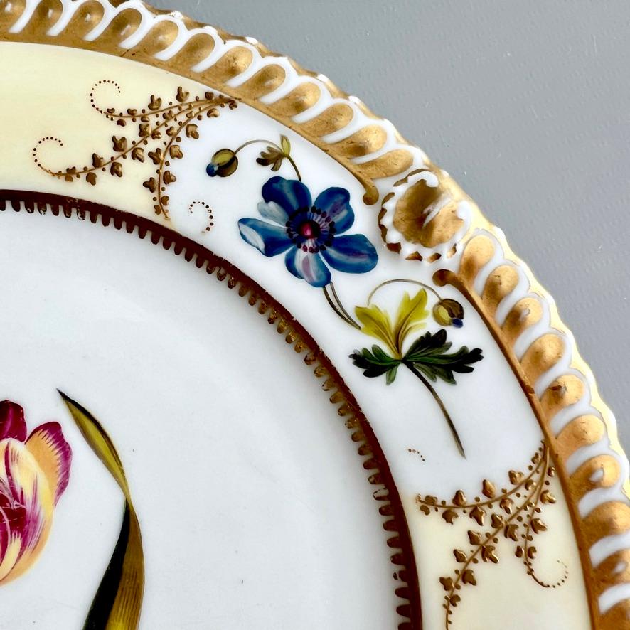 Chamberlains Worcester Plate, Yellow with Tulip and Flower Reserves, 1815-1820 In Good Condition In London, GB