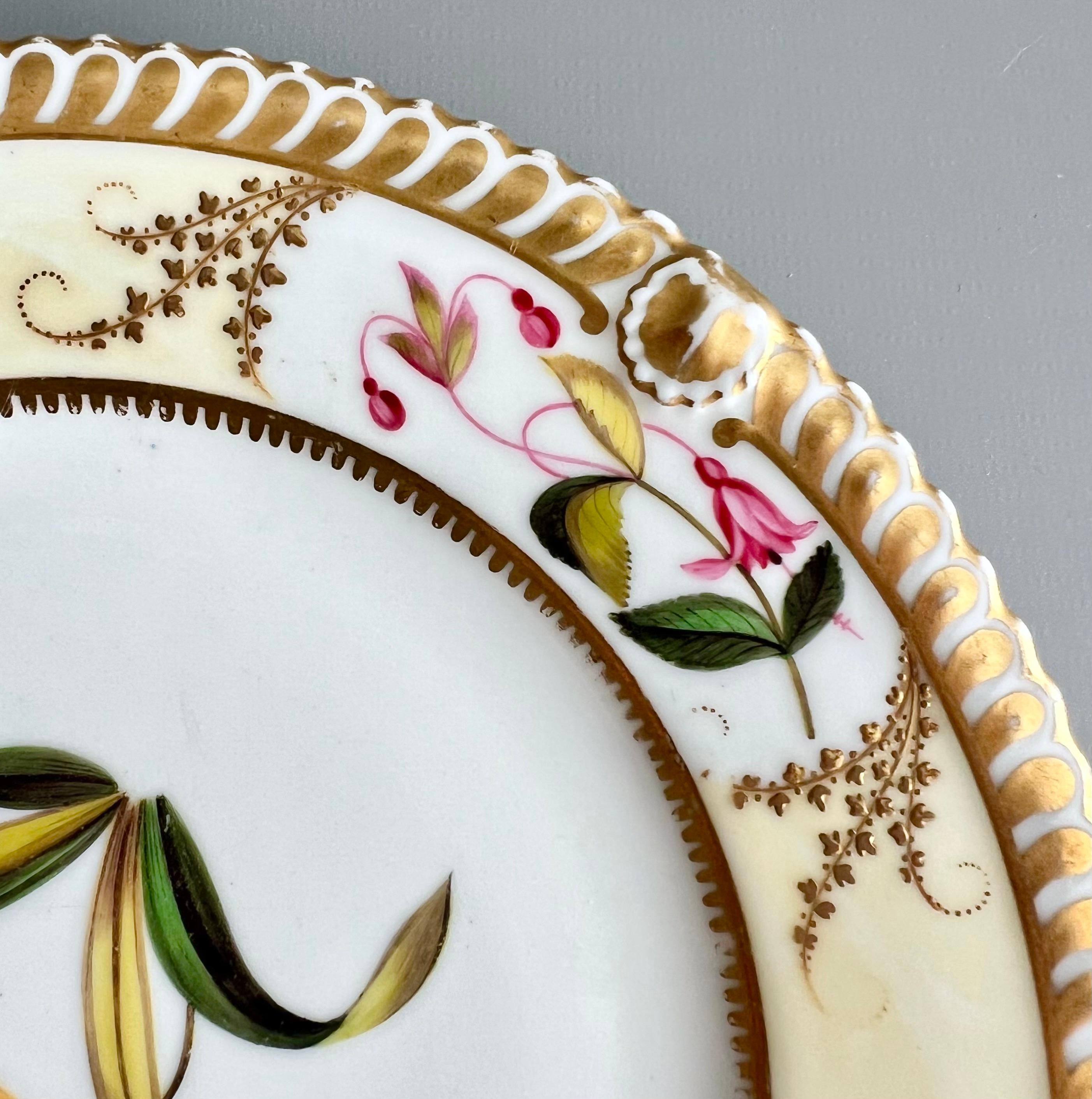 Porcelain Chamberlains Worcester Plate, Yellow with Tulip and Flower Reserves, 1815-1820