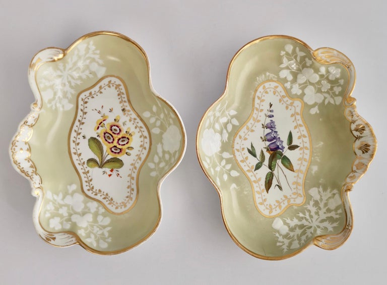 Regency Chamberlains Worcester Porcelain Dessert Service, Sage Green, Flowers, 1816-1820