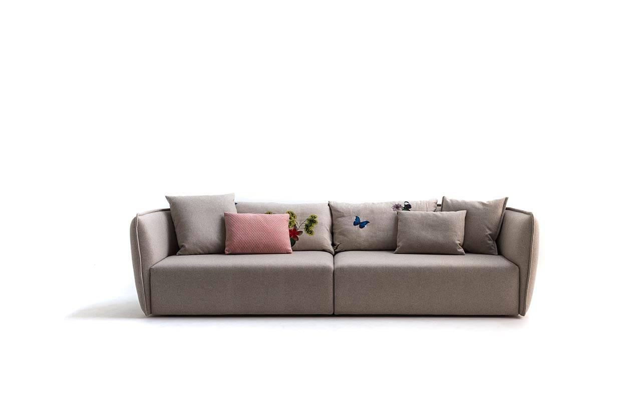 chamfer moroso