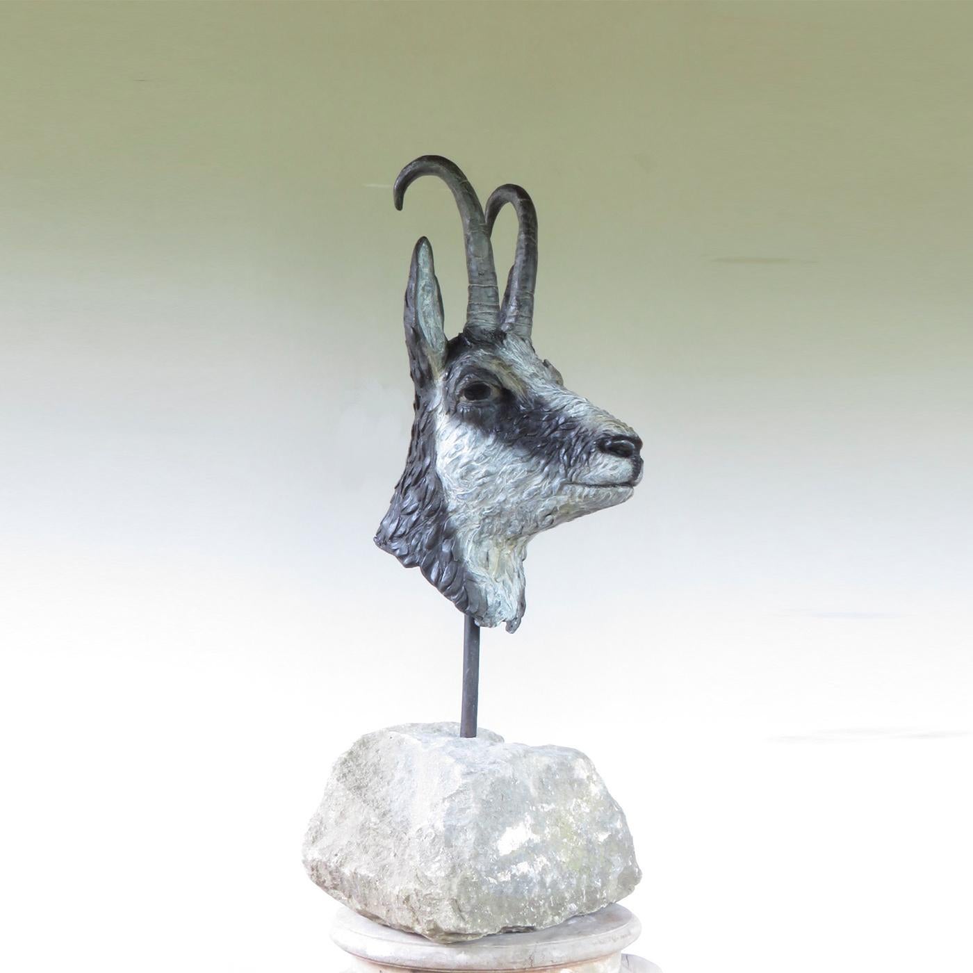 A staple in the Swiss Alps, the chamois is a slender and delicate animal similar to a roe deer. A naturalistic version of its head was exquisitely modelled by Vincenzo Romanelli in 2016 and then cast in bronze using the lost-wax technique. The