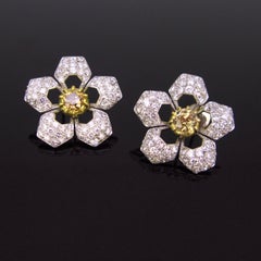 Champagne Diamonds Flowers Yellow White Gold Fashion Studs Earrings