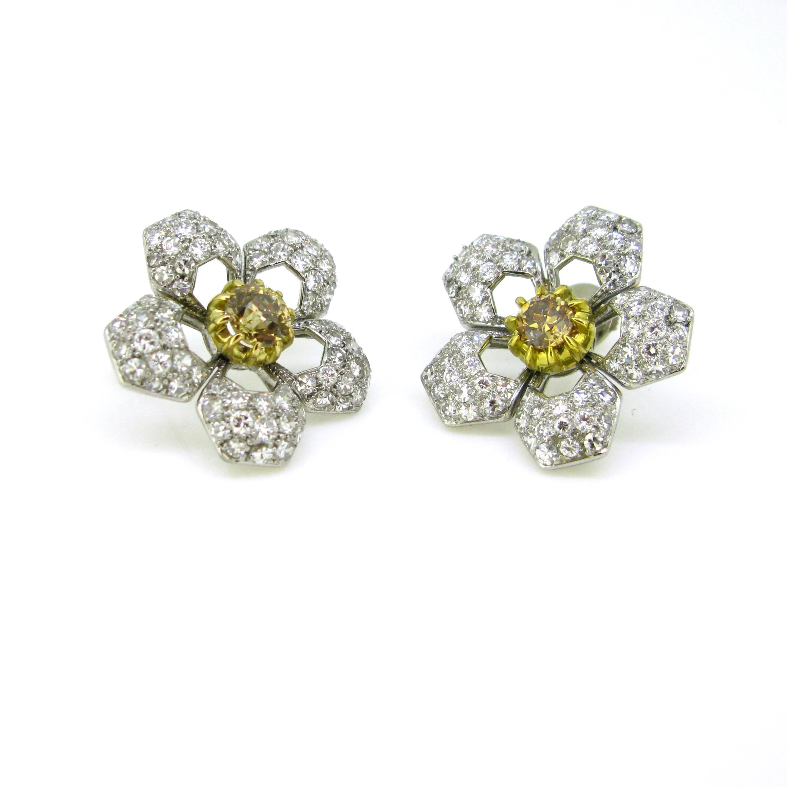 Women's or Men's Champagne Diamonds Flowers Yellow White Gold Fashion Studs Earrings