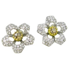 Champagne Diamonds Flowers Yellow White Gold Fashion Studs Earrings Champagne Diamonds Flowers Yellow White Gold Fashion Studs Earrings