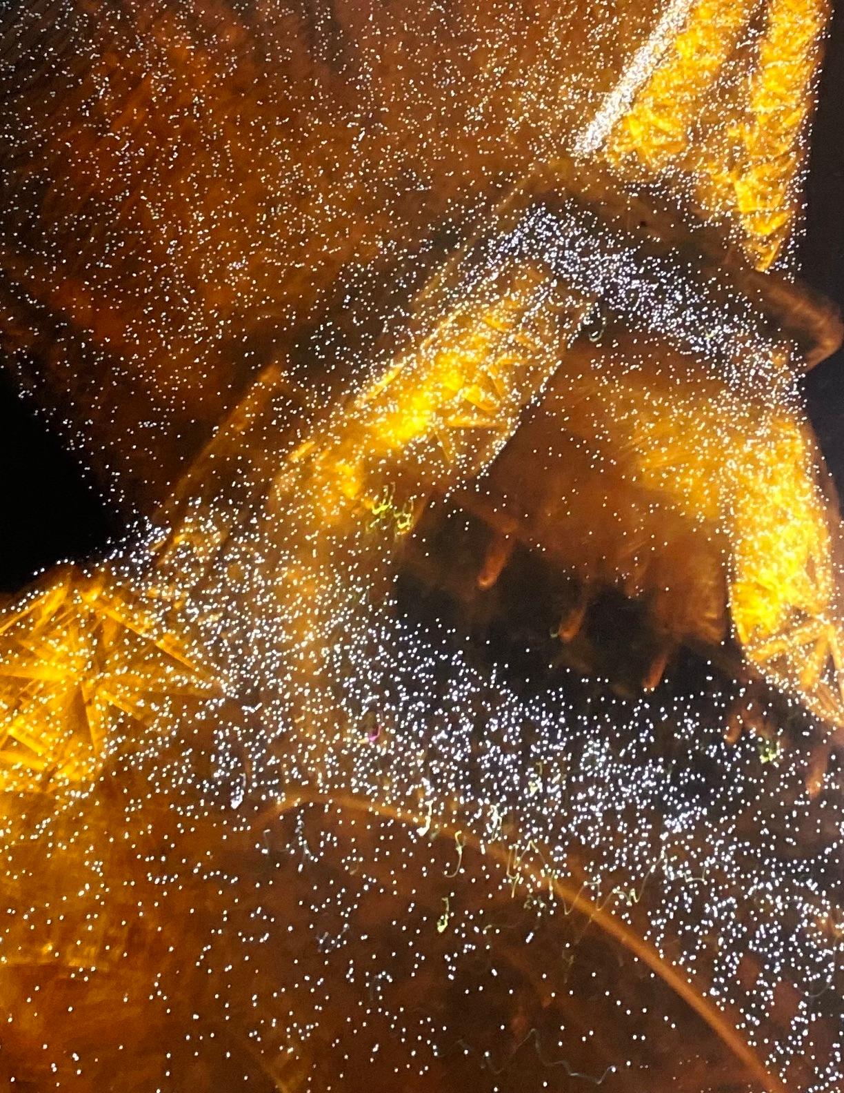 Photo à jet d'encre « Champagne » de Francis Apesteguy en vente 2