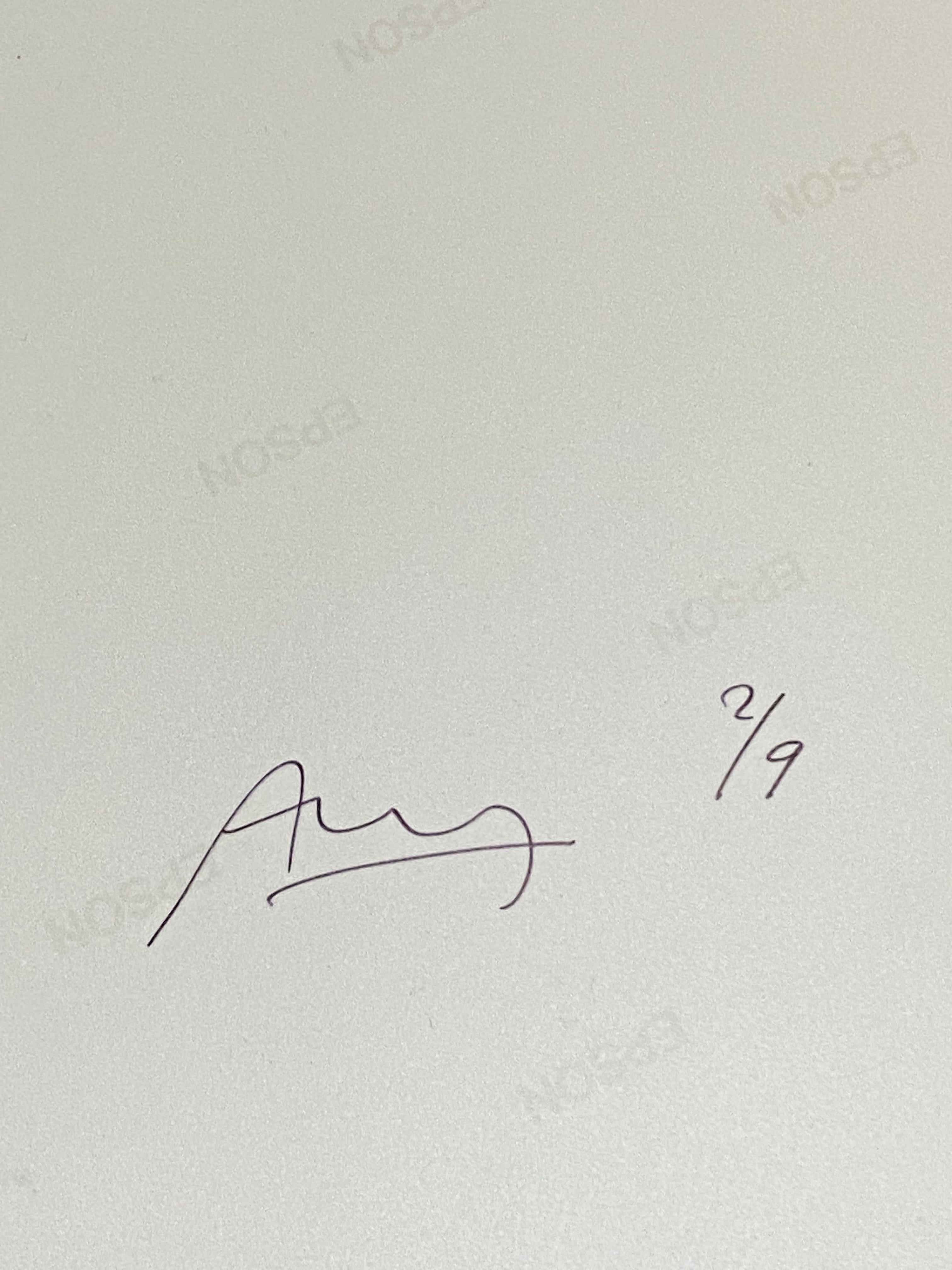 Photo à jet d'encre « Champagne » de Francis Apesteguy en vente 3