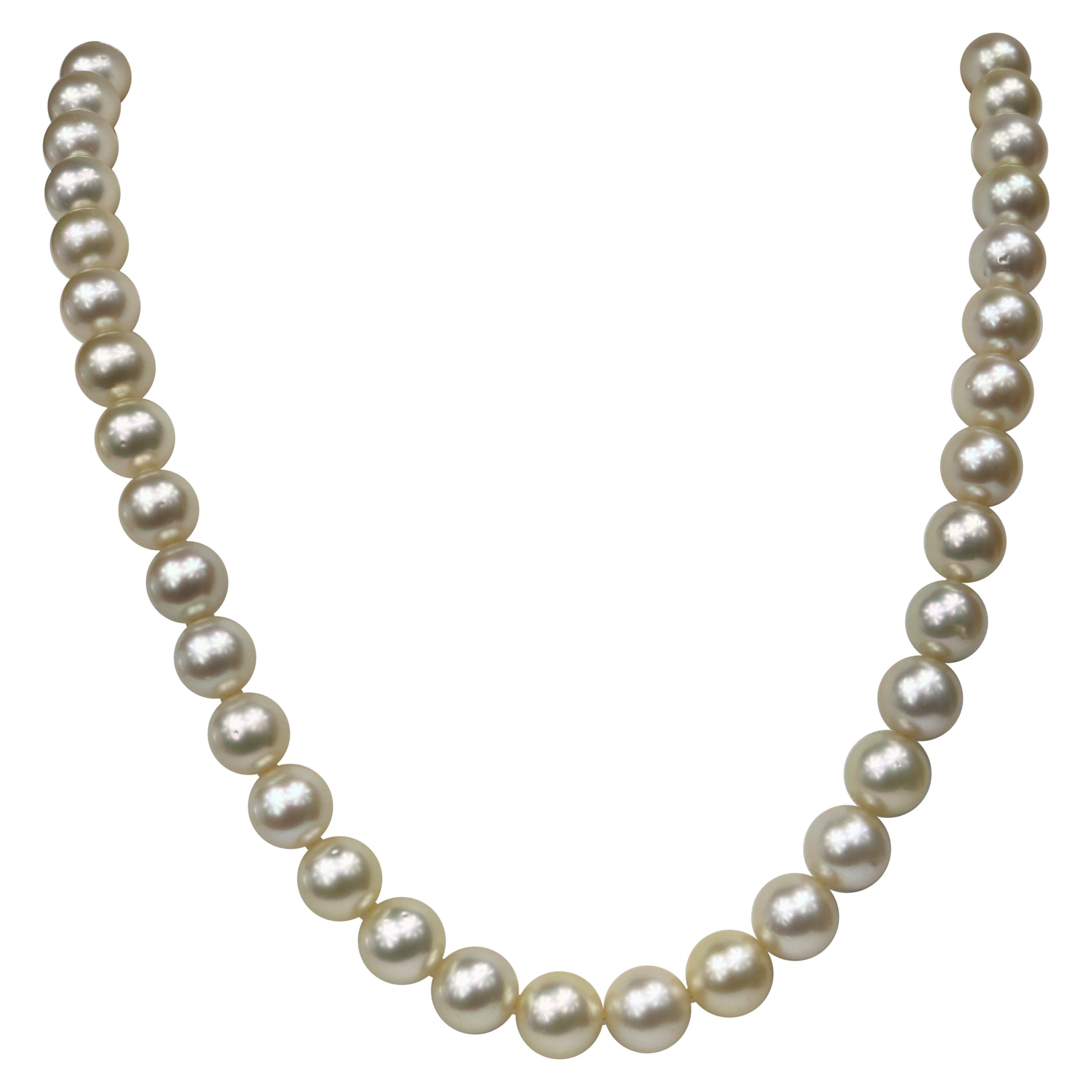 Champagne South Sea Round Necklace with Gold Clasp For Sale