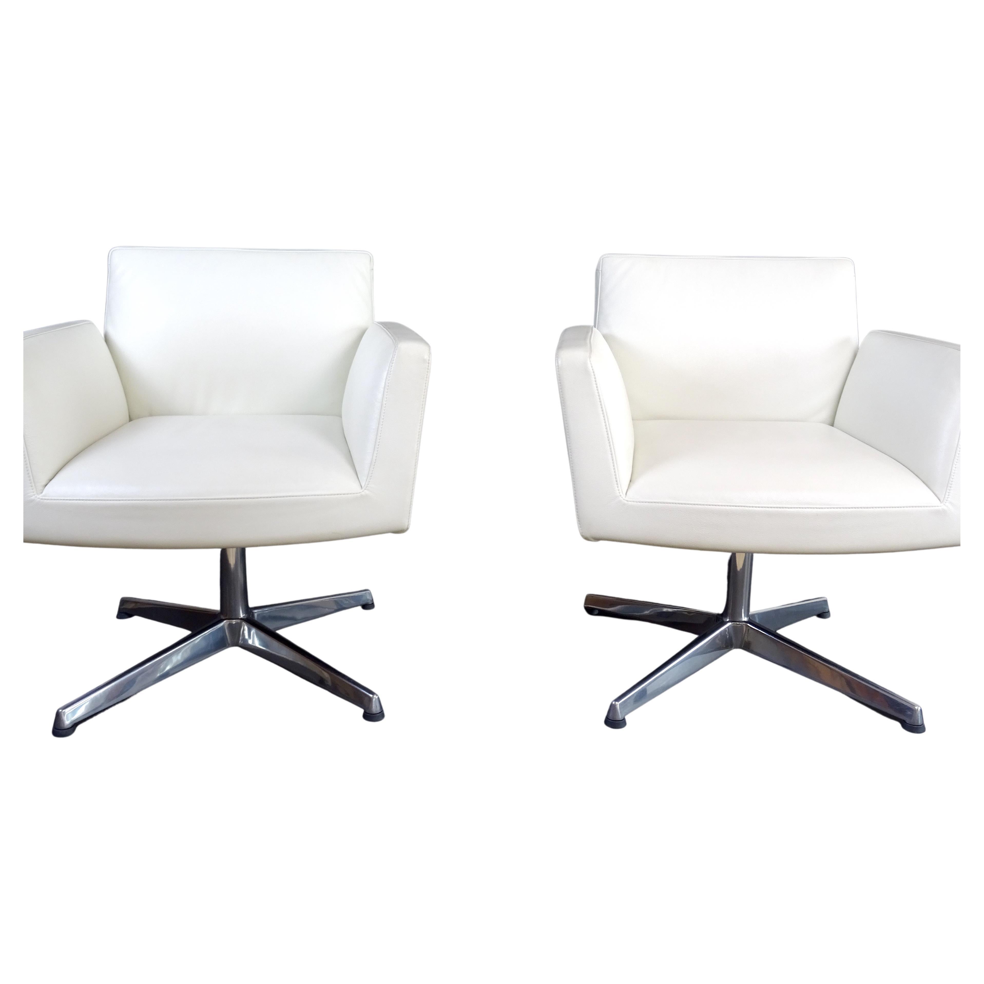 "Chancellor Visitor" Swivel Chairs by Livore, Altherr & Modina for Poltrona Frau