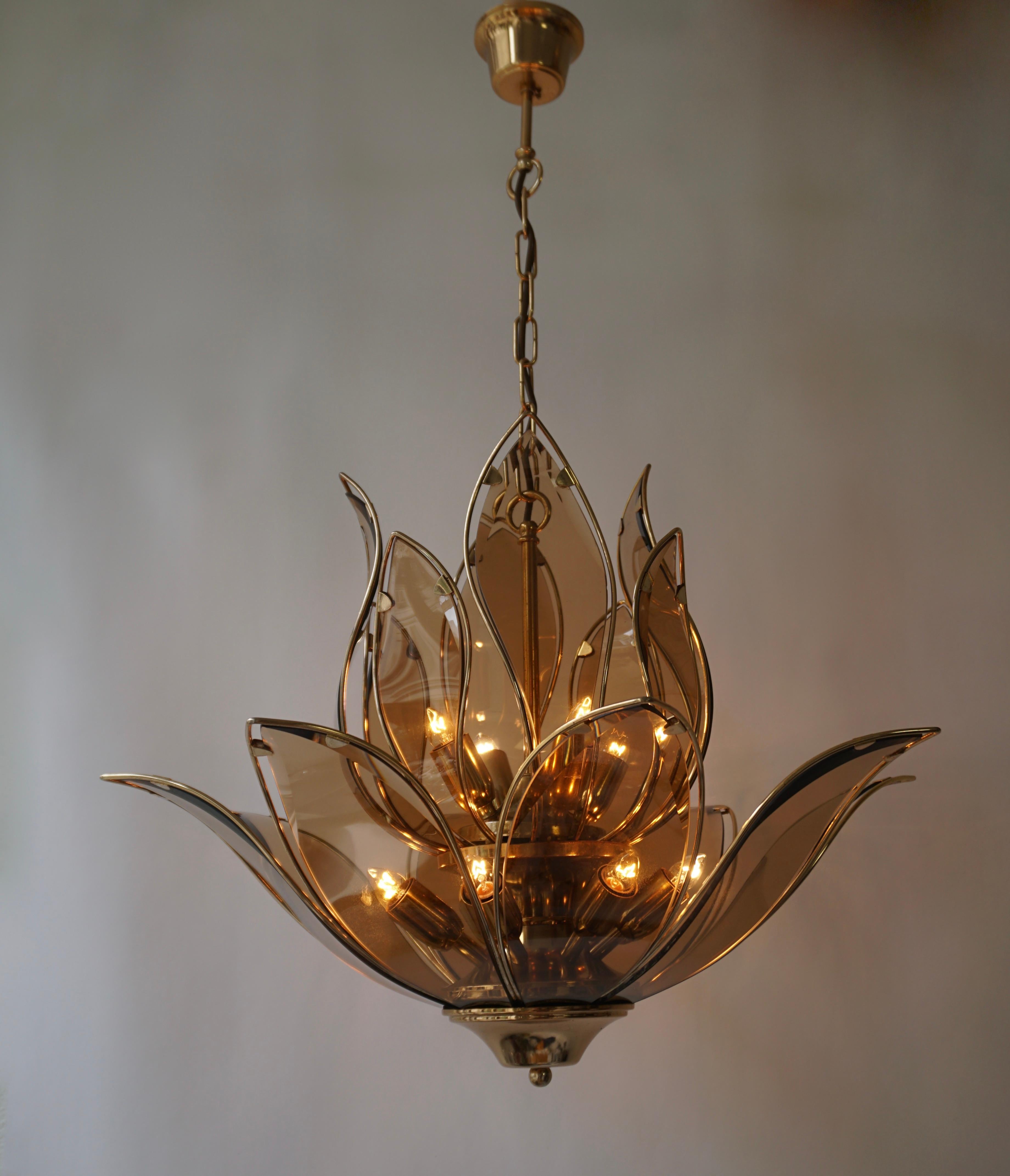 Chandelier in Brass and Glass 9