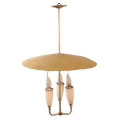 Retro Chandelier in Silver Plated Bronze and Plastic, 50°, Italian