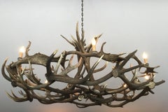 Chandelier Made of Fallow Deer and Red Stag Antlers