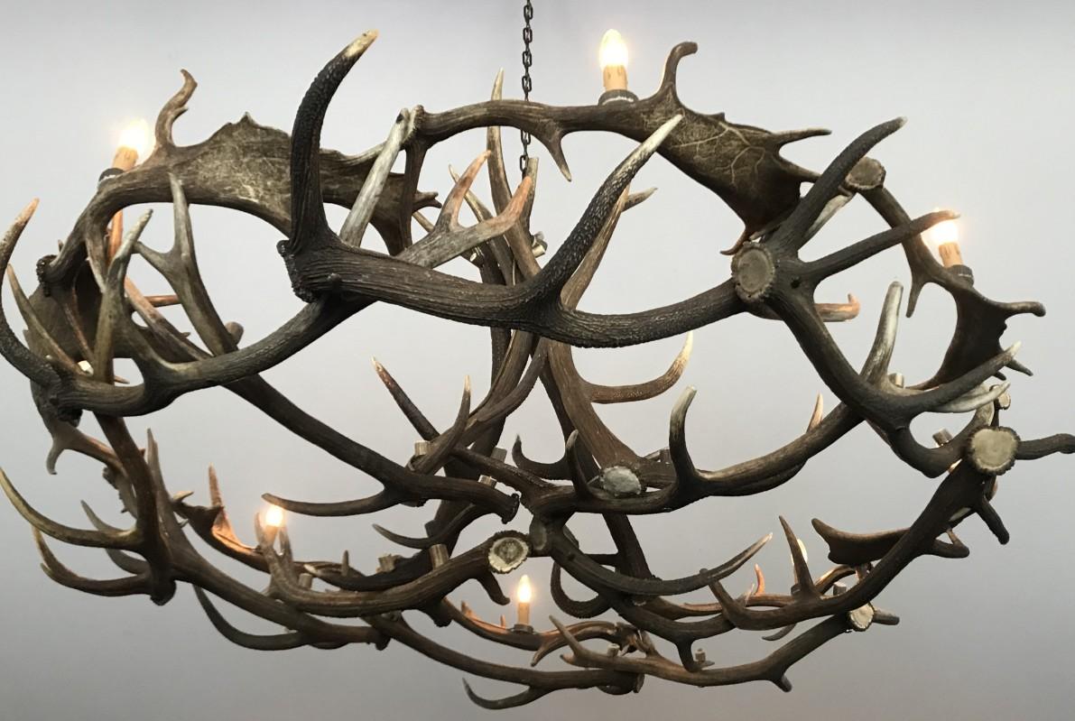 fallow deer antler chandelier