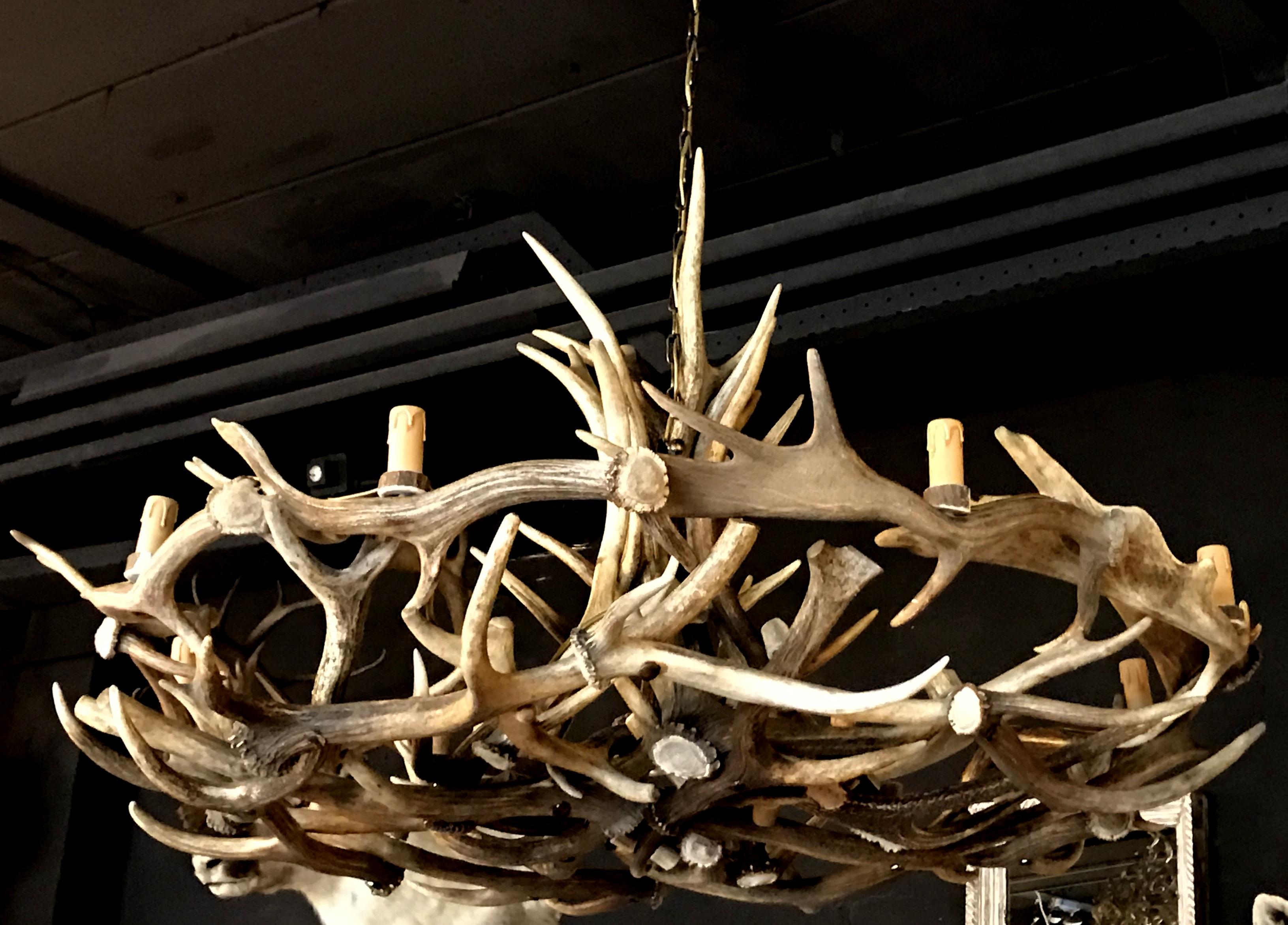 Dutch Chandelier Made of Fallow Deer and Red Stag Antlers For Sale
