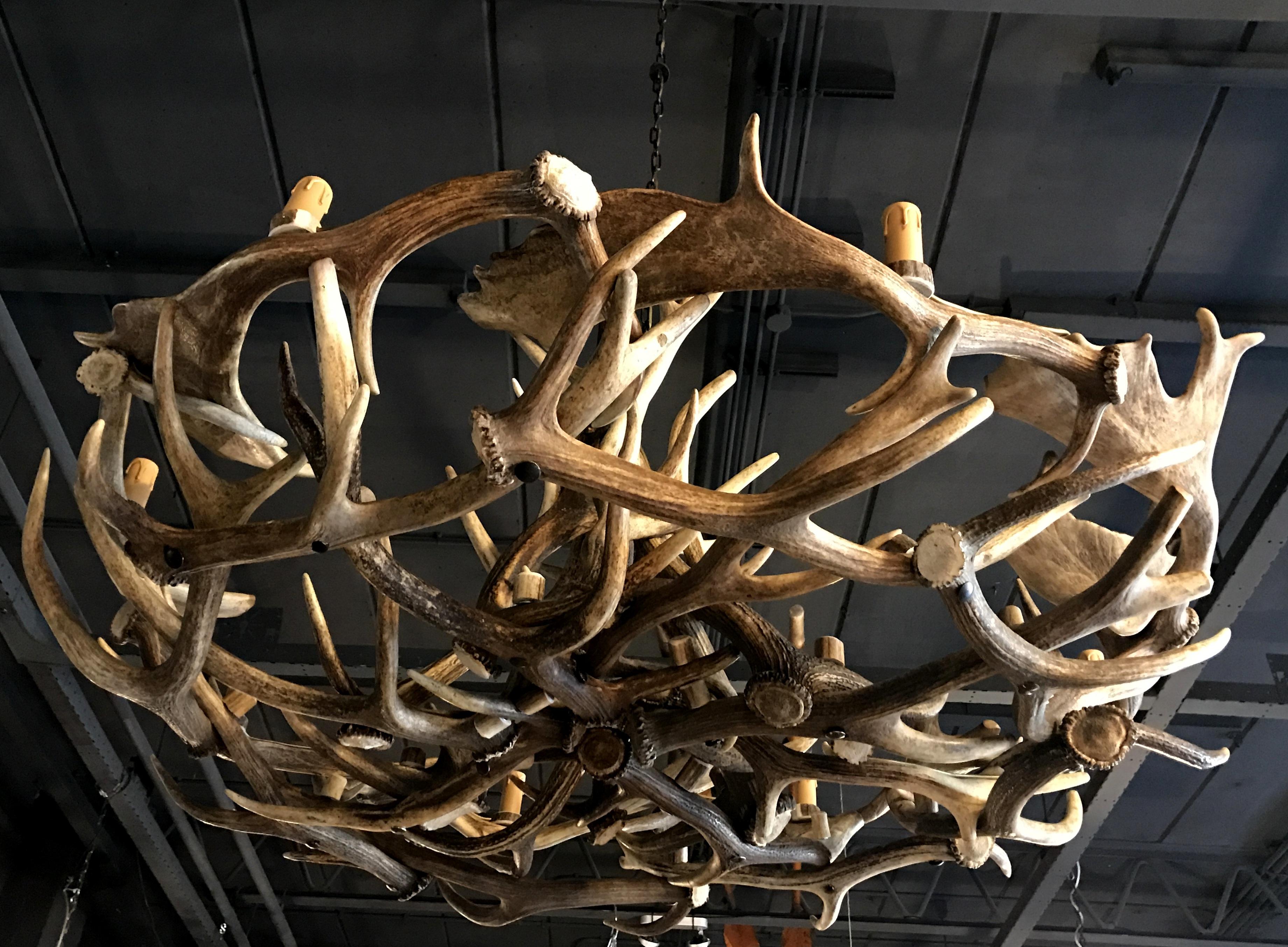 Chandelier Made of Fallow Deer and Red Stag Antlers In Excellent Condition For Sale In Eindhoven, NL