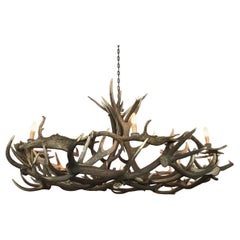 Chandelier Made of Fallow Deer and Red Stag Antlers