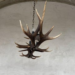 Kronleuchter aus roten Hirschgeweihen mit Glühbirnen und Flecken
