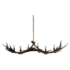 Chandelier made of Red Deer Antlers with lightbulbs and spots
