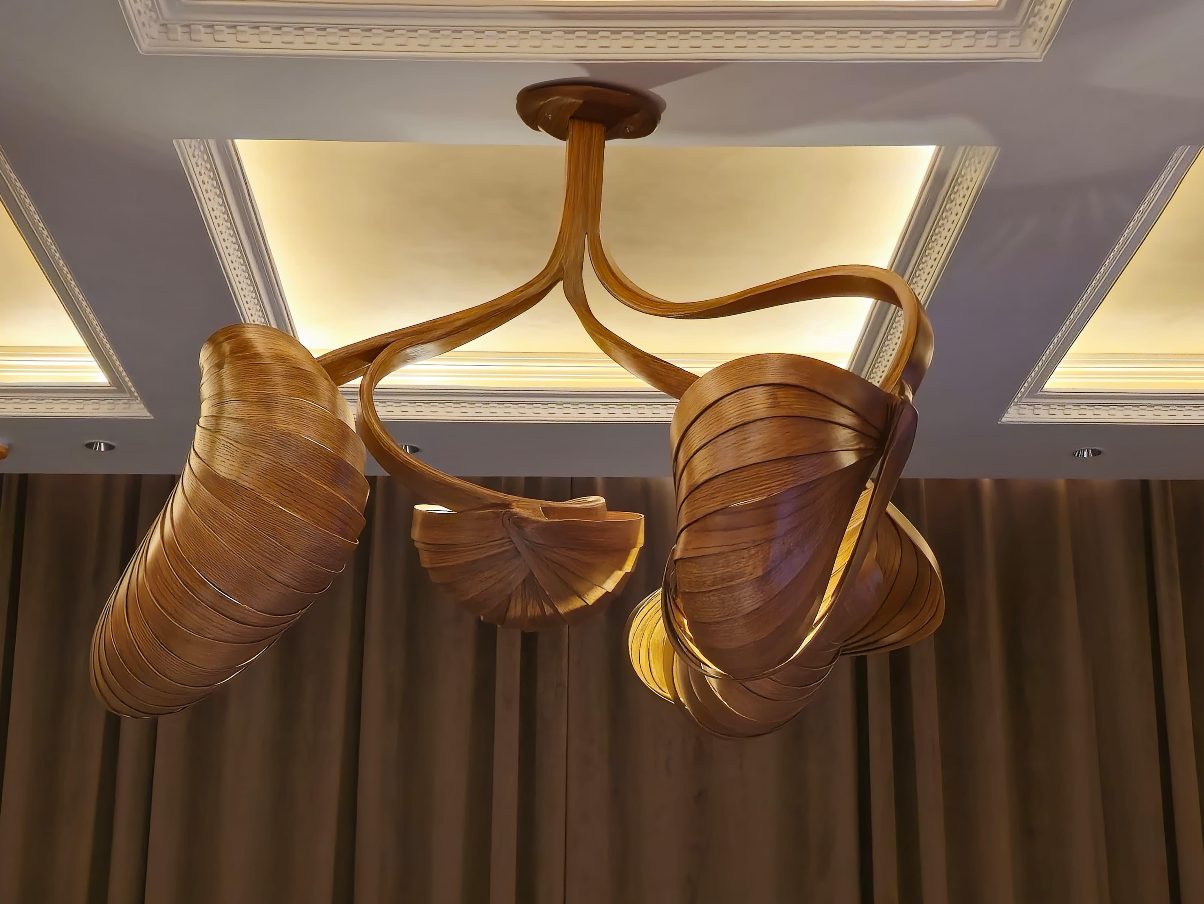 Chandelier No. 8 - Vrksa Series In New Condition For Sale In Cape Girardeau, MO