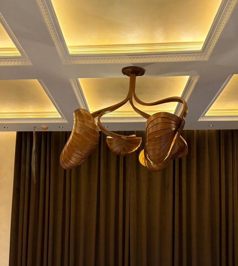 Chandelier No. 8 - Vrksa Series For Sale 2