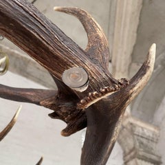 Chandelier Red Deer Antlers with 8 lights and 4 spots