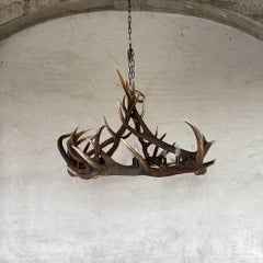 Chandelier Red Deer Antlers with 8 lights and 4 spots
