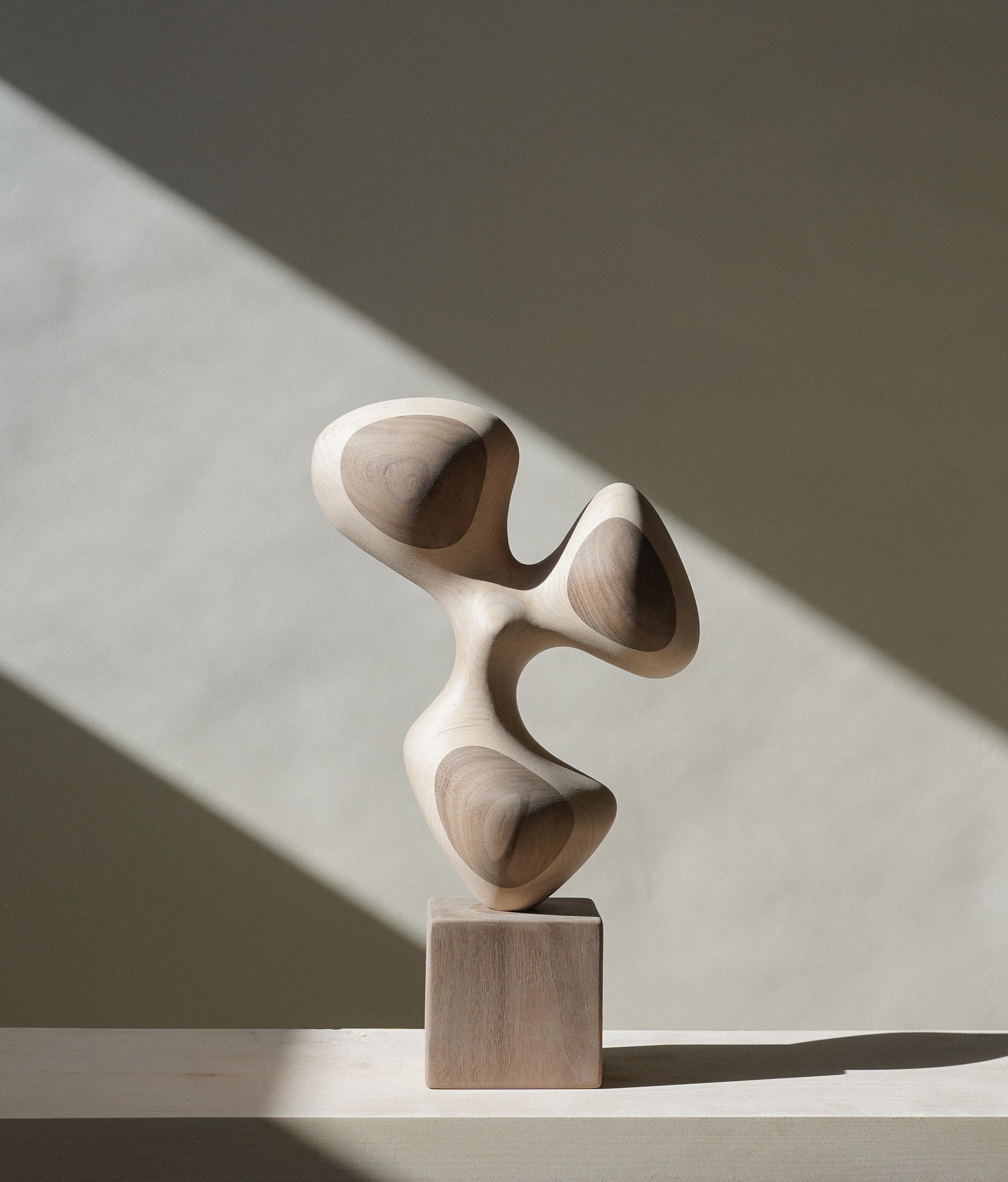Chandler McLellan Abstract Sculpture - Dove Cover
