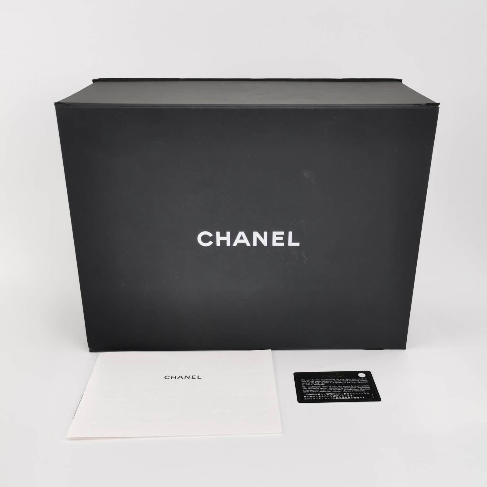 Chanel 19 Bag 2021 Cream White Wild Stitch 8
